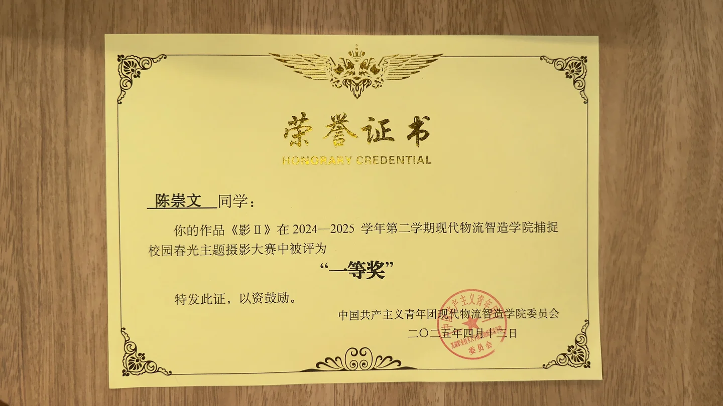 《影Ⅱ》摄影一等奖 · 另一张证书照片