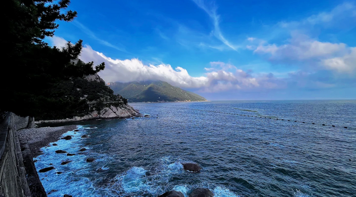 海岸 · 树影与海面