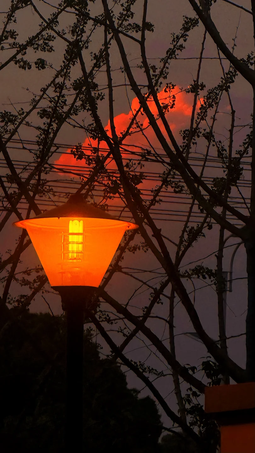 枝影 · 夜灯